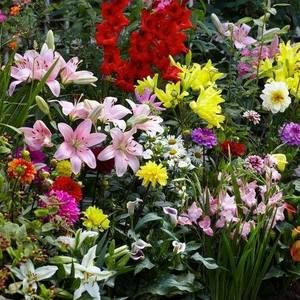 Meet your Posher, Janette